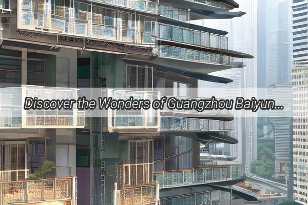 Discover the Wonders of Guangzhou Baiyun A Comprehensive Guide to the Best Companies in the Area